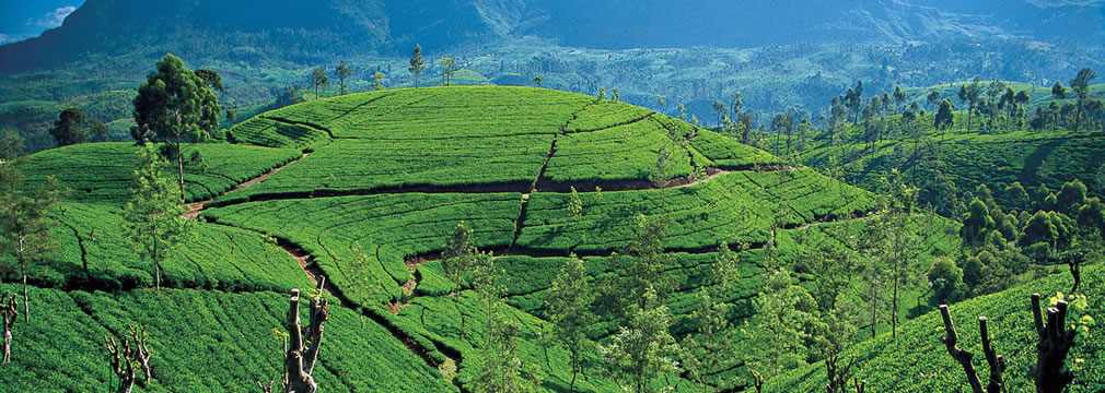 Sri Lanka